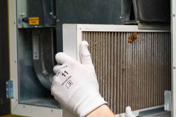 Best Residential Air Duct Cleaning  in Pleasant View, TN