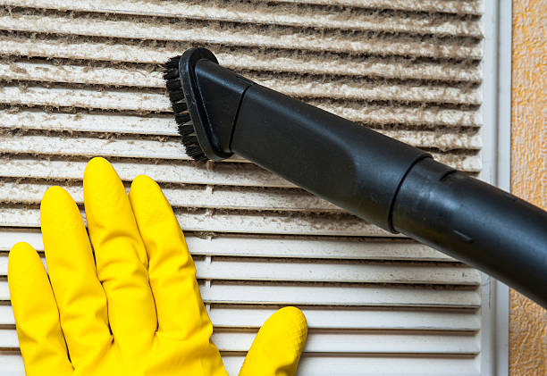 Best Air Duct Cleaning Near Me  in Pleasant View, TN