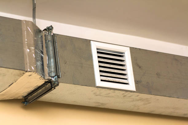 Best Local Air Duct Cleaning Services  in Pleasant View, TN